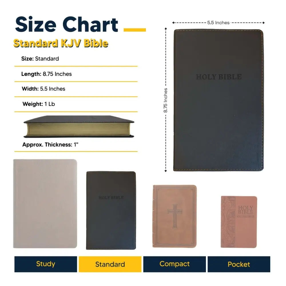 NIV Standard Size Journaling Holy Bible Medium Print - Brown