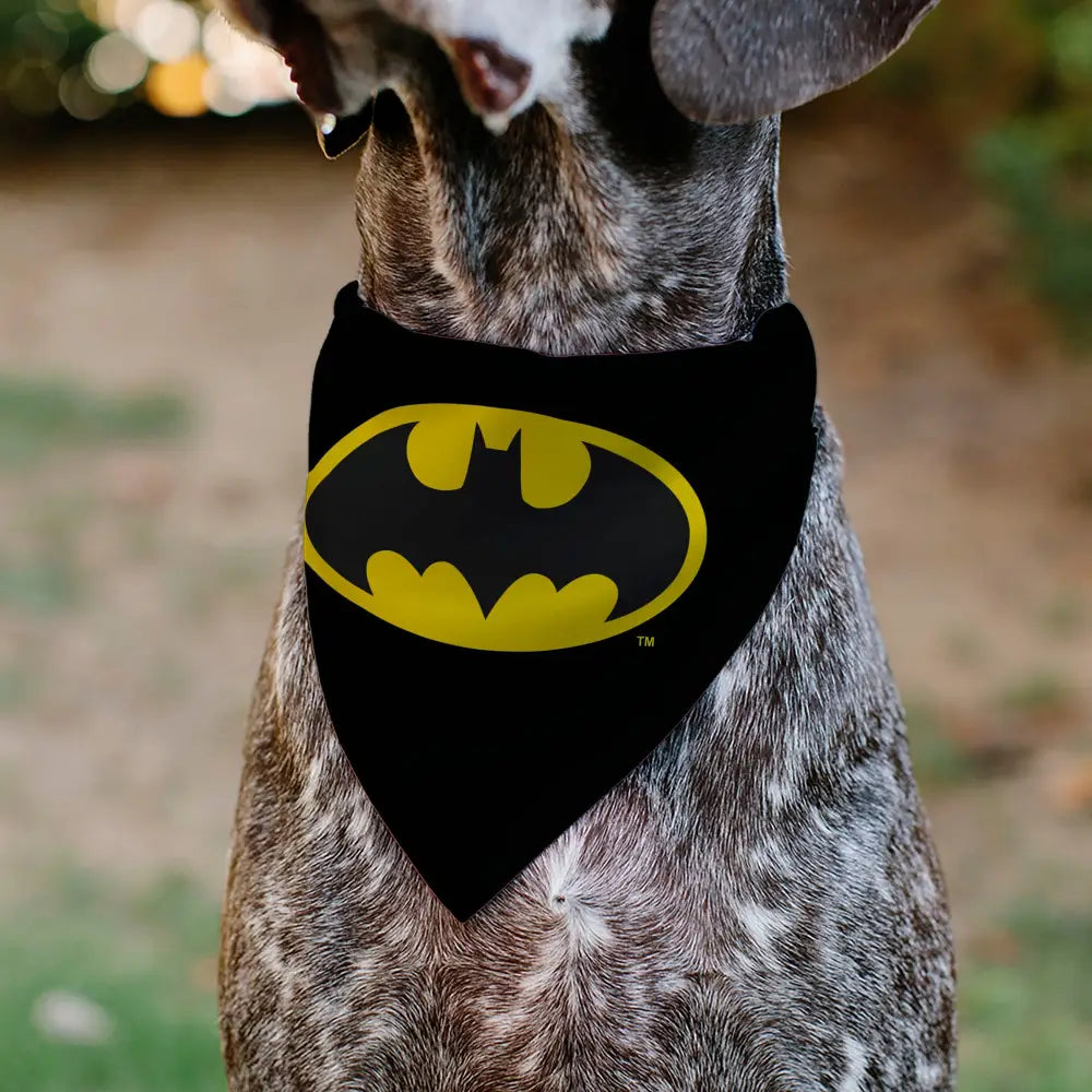 Pet Bandana - Batman Shield Logo Black/Yellow - Pet Bandanas
