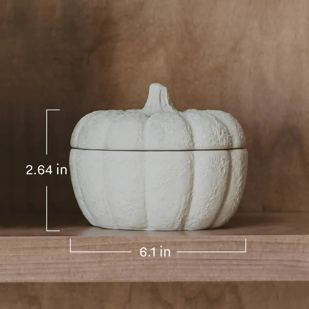 Cashmere and Vanilla Soy Candle - Cement Pumpkin Jar - 13.5 oz - Candles