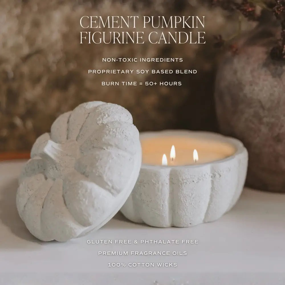 Cashmere and Vanilla Soy Candle - Cement Pumpkin Jar - 13.5 oz - Candles