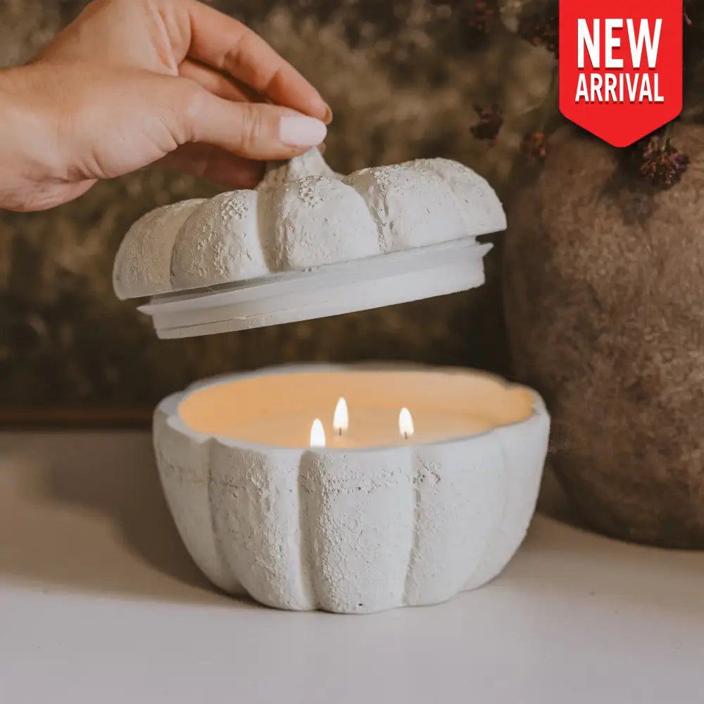 Cashmere and Vanilla Soy Candle - Cement Pumpkin Jar - 13.5 oz - Candles