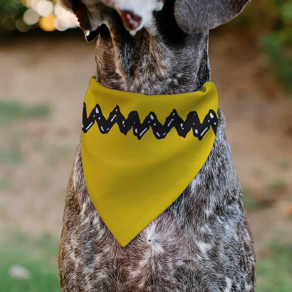 Pet Bandana - Peanuts Charlie Brown Zig Zag Stripe Yellow/Black Pet Bandanas