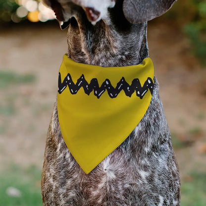 Pet Bandana - Peanuts Charlie Brown Zig Zag Stripe Yellow/Black Pet Bandanas