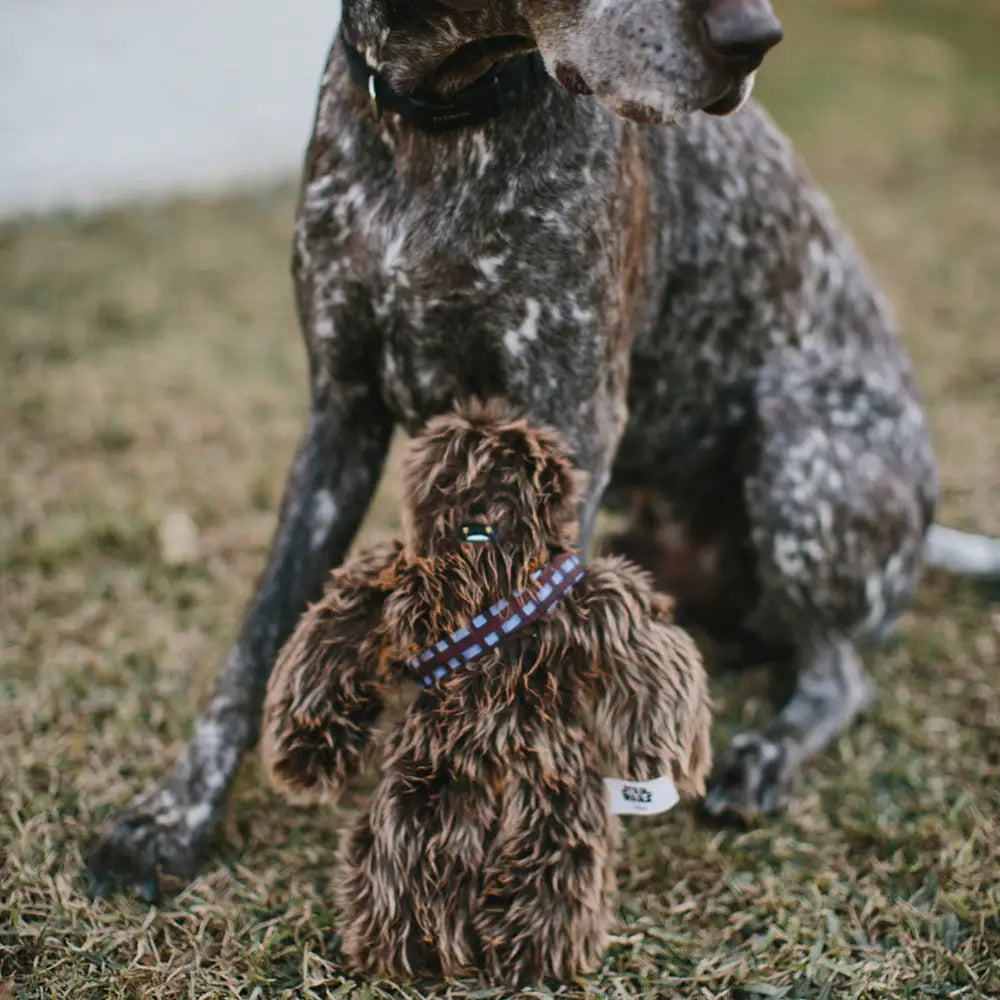 Chewbacca - Brown - Dog Toy Squeaky Plush