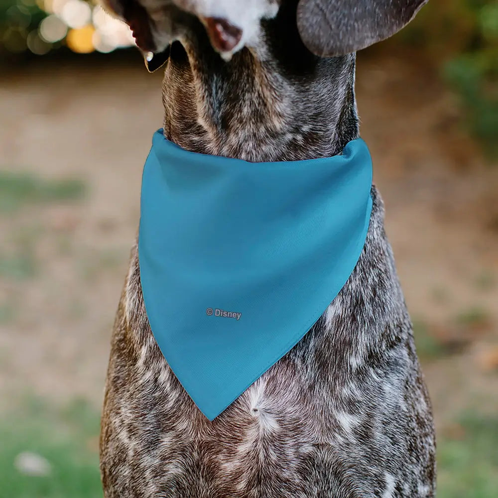 Pet Bandana - Cinderella Face Pose Close-Up Blues - Pet Bandanas