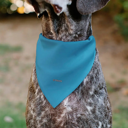 Pet Bandana - Cinderella Face Pose Close-Up Blues - Pet Bandanas