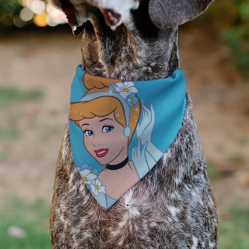 Pet Bandana - Cinderella Face Pose Close-Up Blues - Pet Bandanas