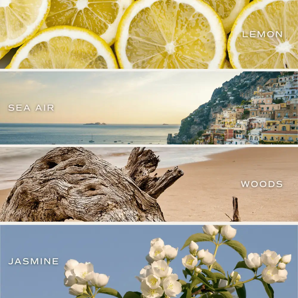 Coastal Lemon Soy Candle - Blue Tinted Glass Jar - 12 oz Candles