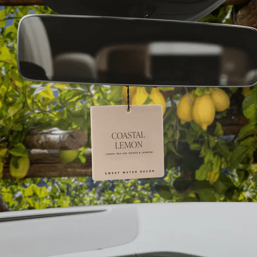 Coastal Lemon Hanging Air Freshener - Air Freshener