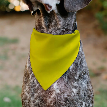 Pet Bandana - DO NOT PET Warning Yellows/Black - Pet Bandanas