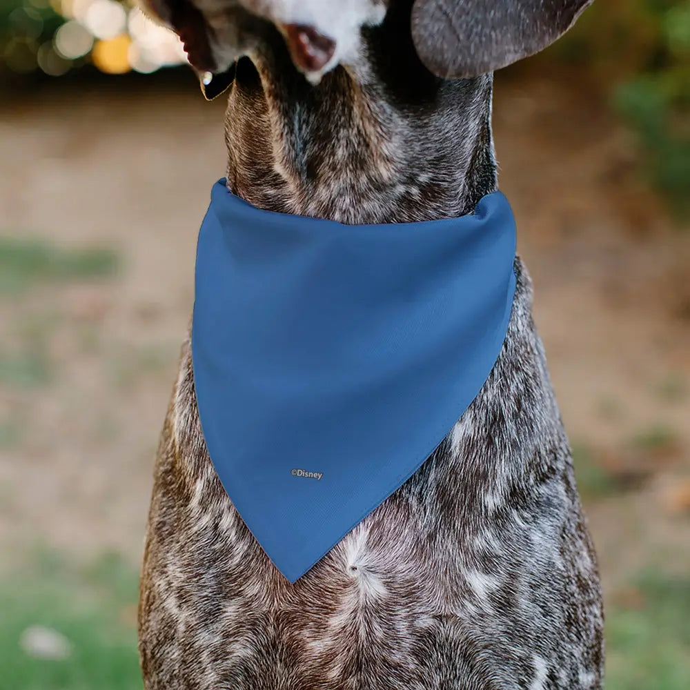 Pet Bandana - Donald Duck Sailor Suit Chest - Pet Bandanas