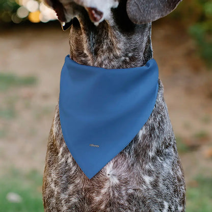 Pet Bandana - Donald Duck Sailor Suit Chest - Pet Bandanas
