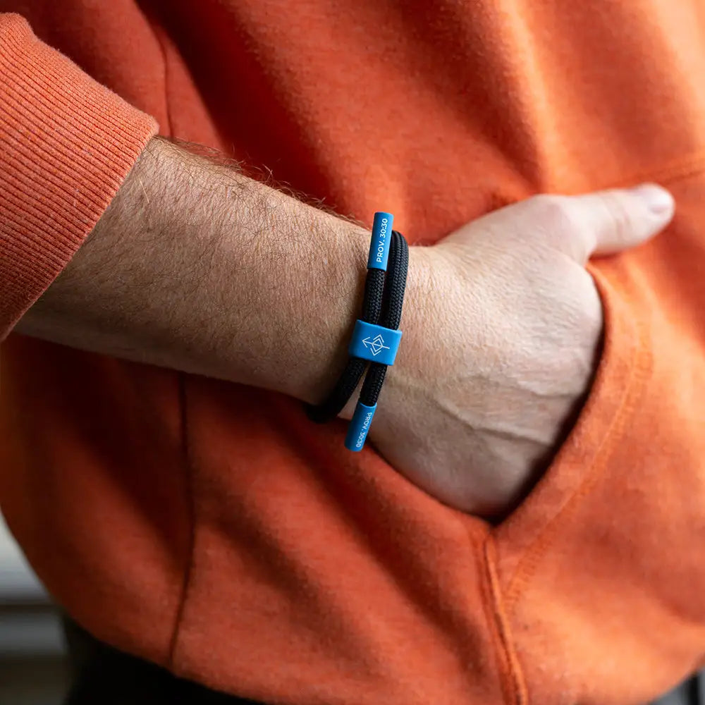 Don’t Back Down Proverbs 30:30