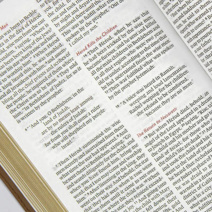 ESV Compact Size Kids Holy Bible Large Print - Blue Bible