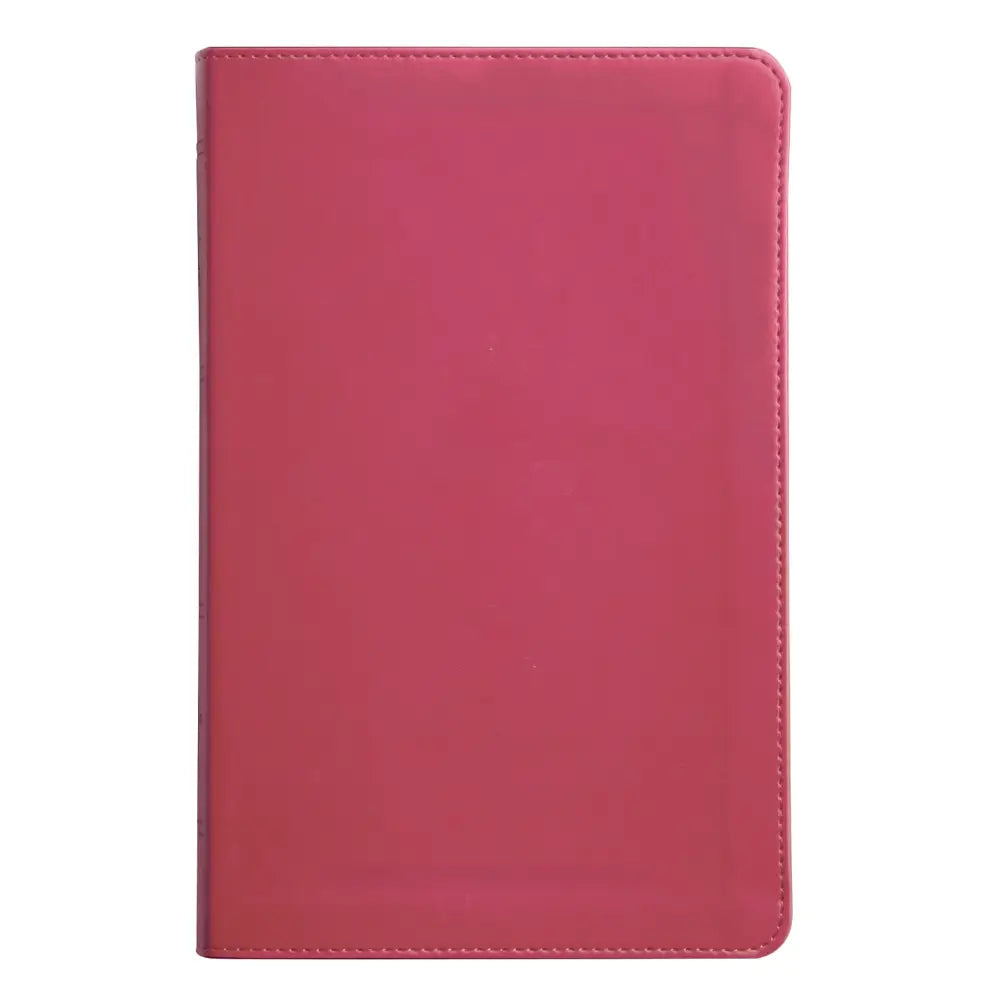 ESV Compact Size Kids Holy Bible Small Print - Pink