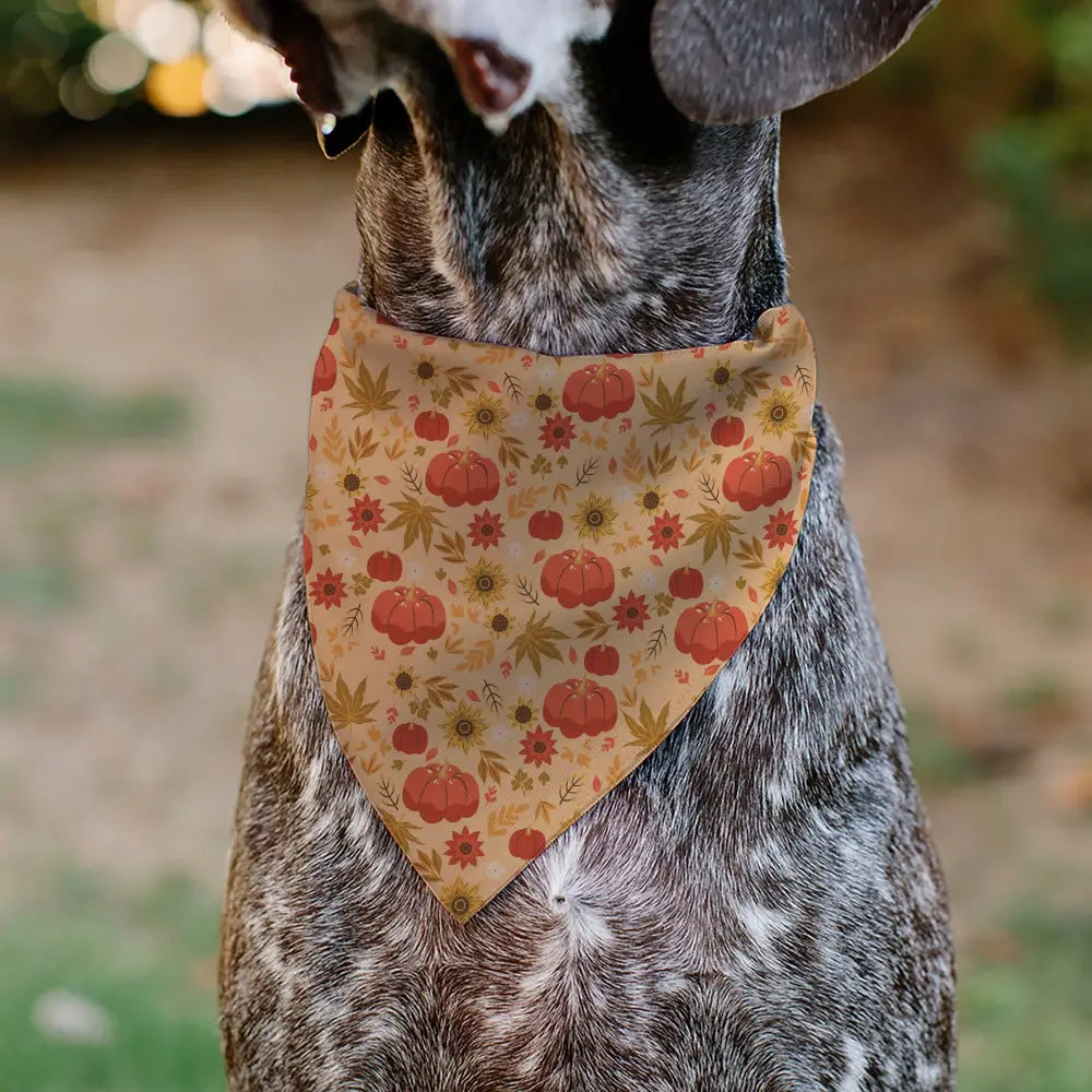 Pet Bandana - Fall Harvest Pumpkins and Flowers Collage Tan/Orange/Yellows - Pet Bandanas