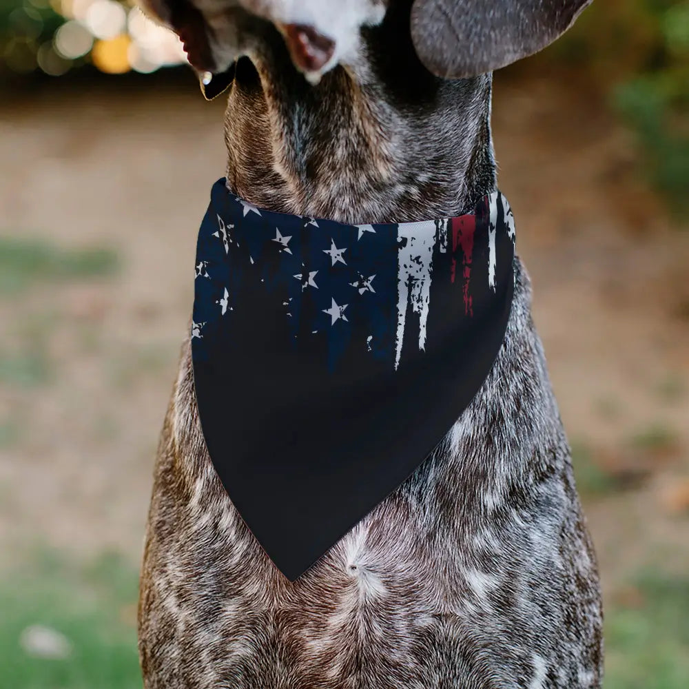 Pet Bandana - Ford BRONCO Americana Stars and Stripes Weathered Red/White/Blue - Pet Bandanas