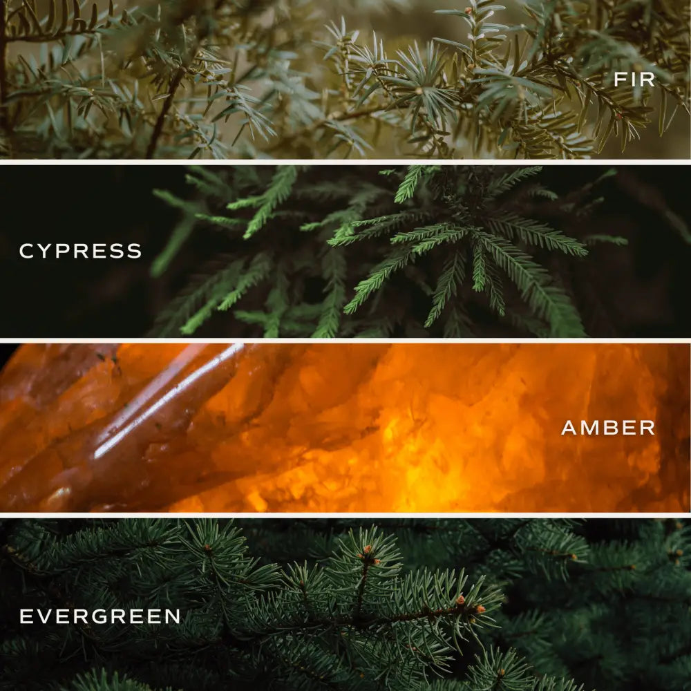 Fraser Fir Hanging Air Freshener - Air Freshener