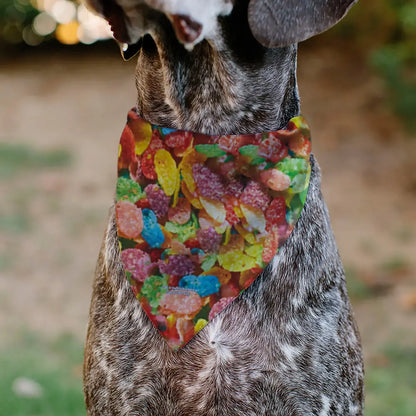 Fruity Pebbles - Red Pet Bandanas