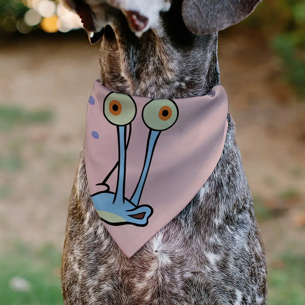 Gary the Snail - Multi Pet Bandanas