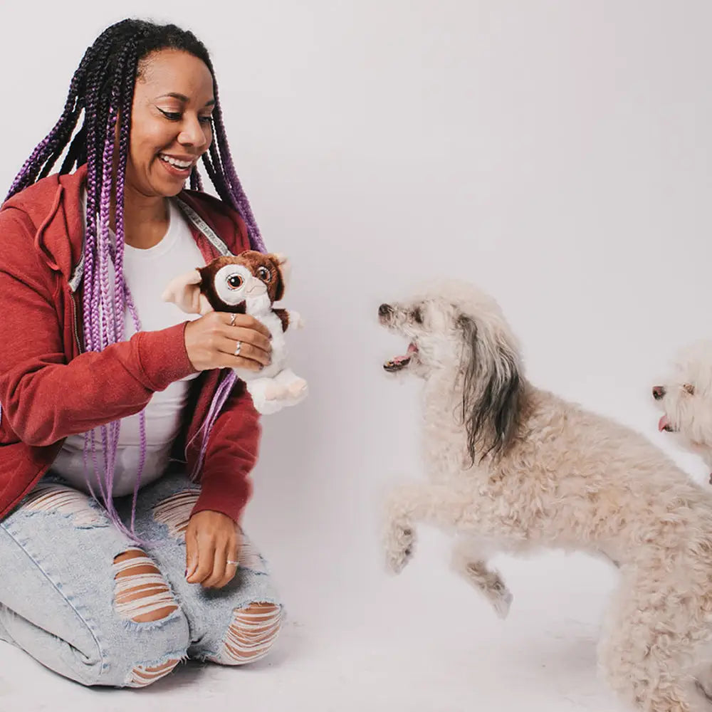 Gizmo - Multi Dog Toy Squeaky Plush