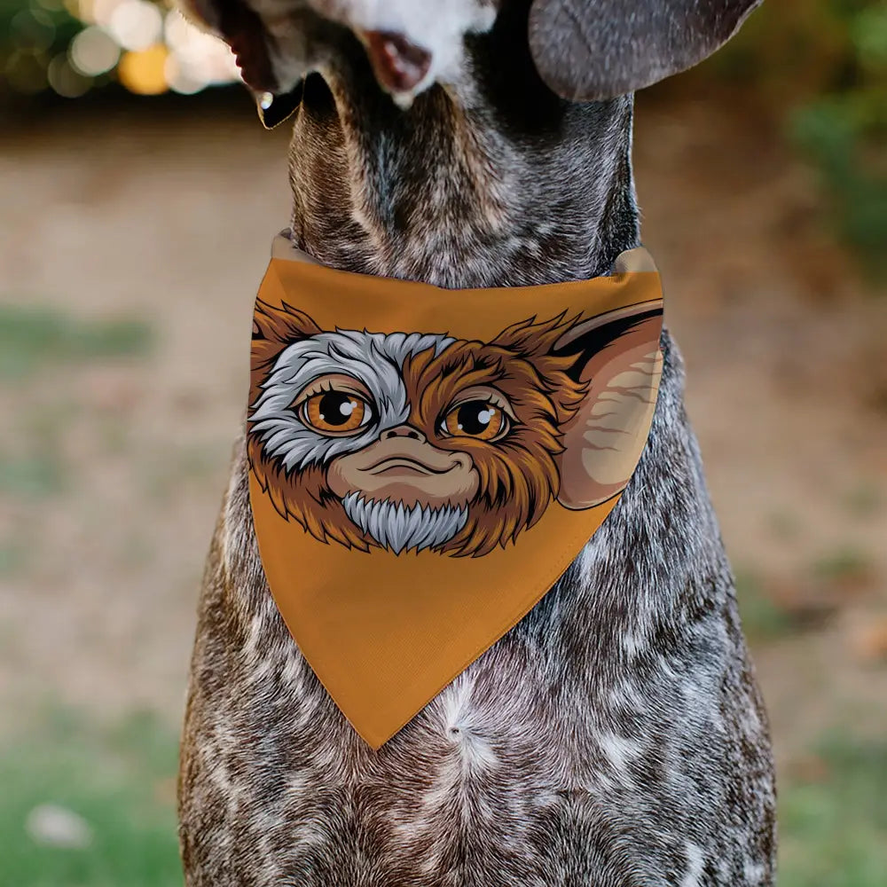 Pet Bandana - Gizmo Face and GREMLINS 1984 Varsity Text Beige/Blue/Yellow - Pet Bandanas