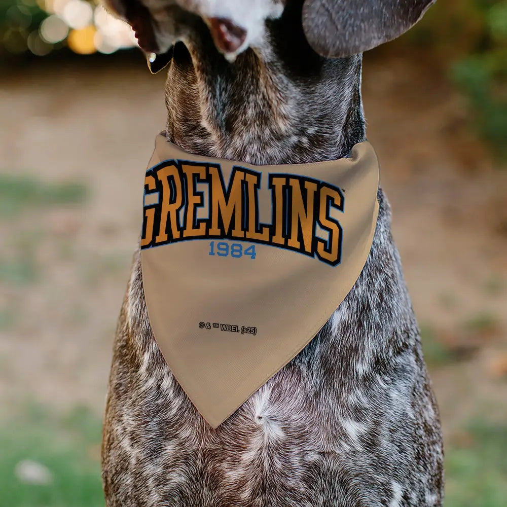 Pet Bandana - Gizmo Face and GREMLINS 1984 Varsity Text Beige/Blue/Yellow - Pet Bandanas