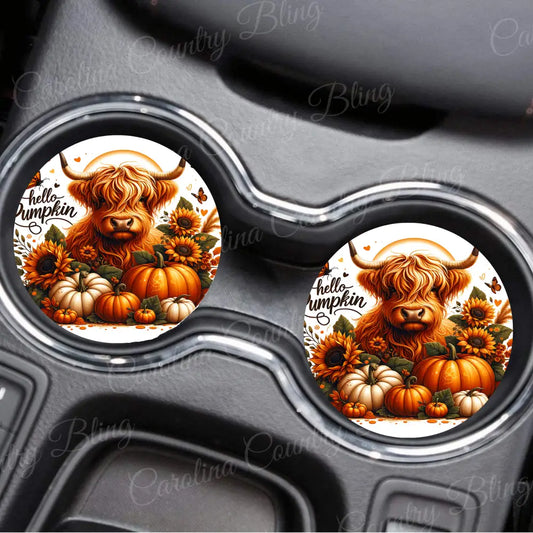 Hello Pumpkin – Multi Car Coaster