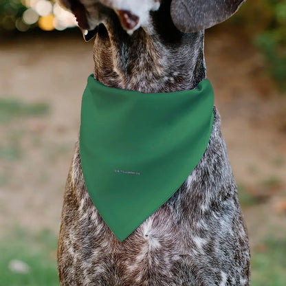 Pet Bandana - Star Wars Grogu I’M ALL EARS Pose Green - Pet Bandanas
