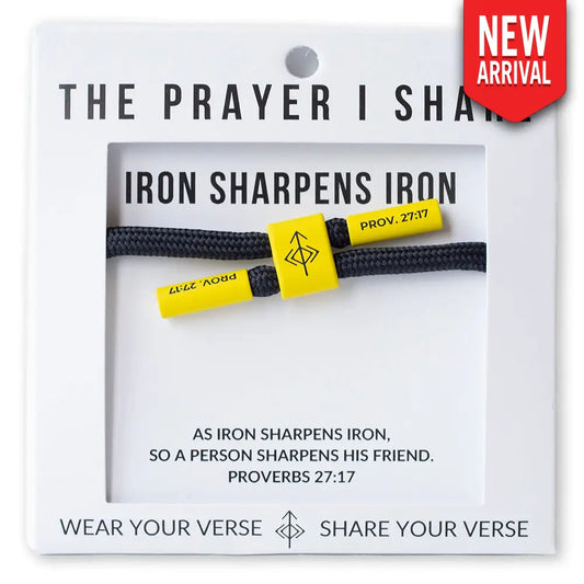 Iron Sharpens Iron Proverbs 27:17