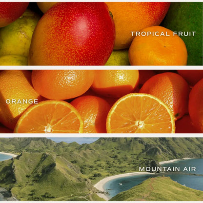 Island Air Hanging Air Freshener - Air Freshener