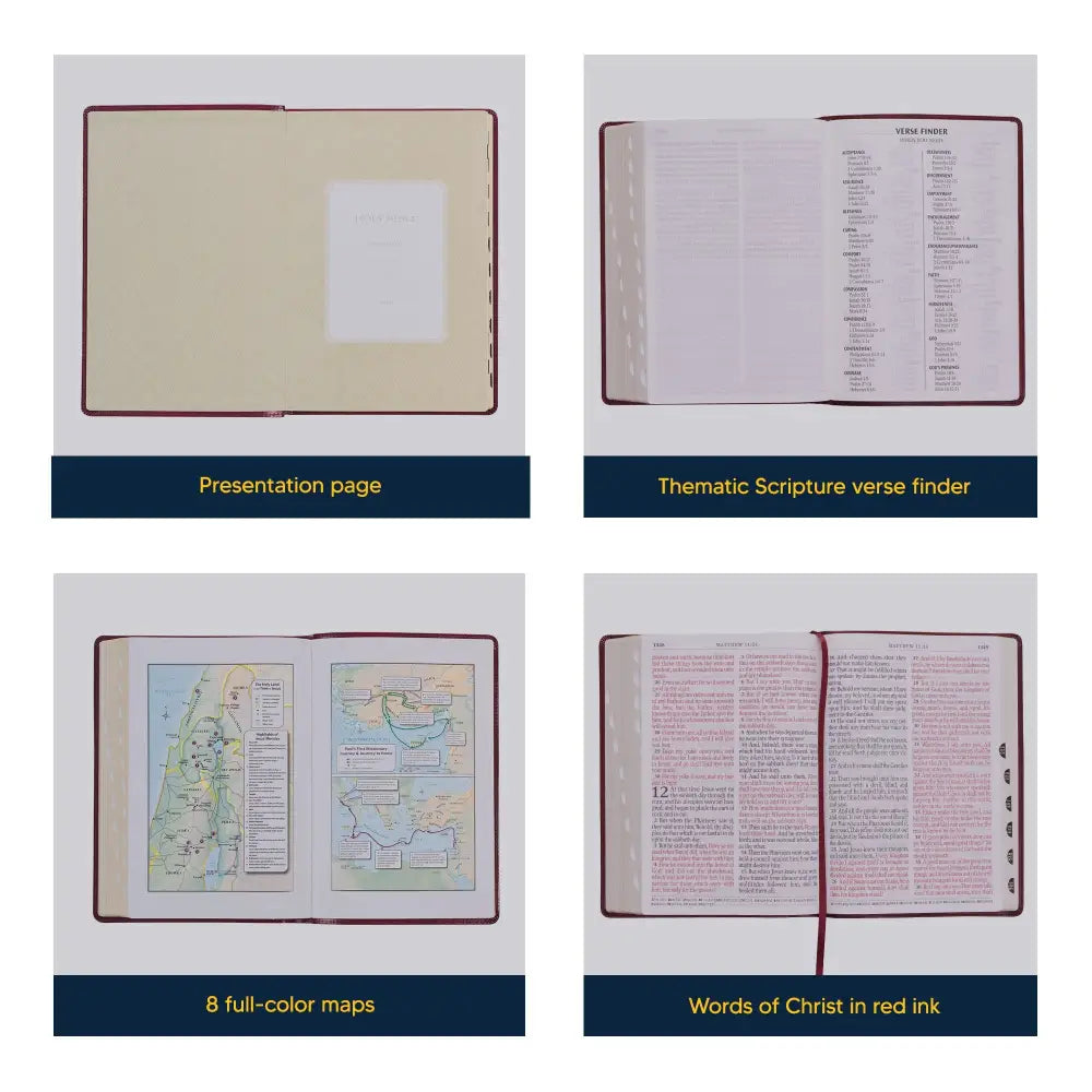 KJV Standard Size Deluxe Holy Bible Medium Print - Brown Bible