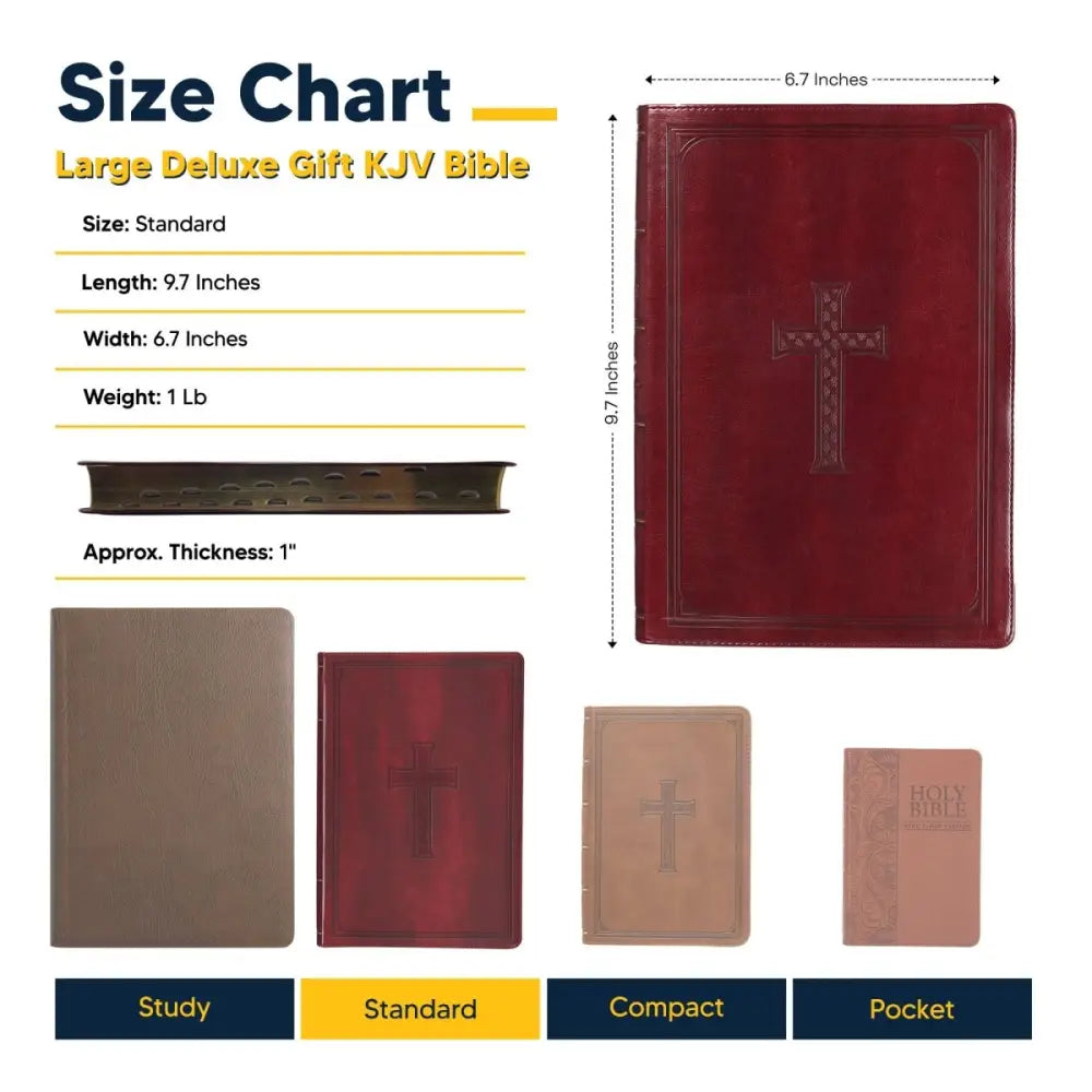 KJV Standard Size Deluxe Holy Bible Medium Print - Brown Bible