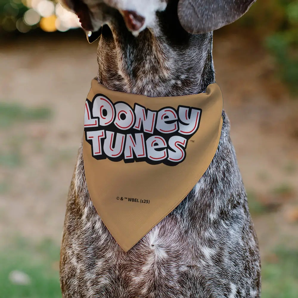 Pet Bandana - LOONEY TUNES Lola Bunny Face Close-Up Peach - Pet Bandanas