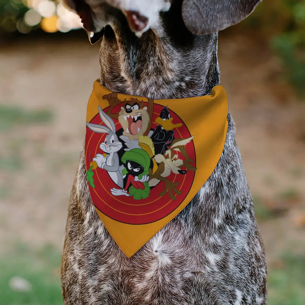 Pet Bandana - LOONEY TUNES Five Character Target Pose Orange - Pet Bandanas