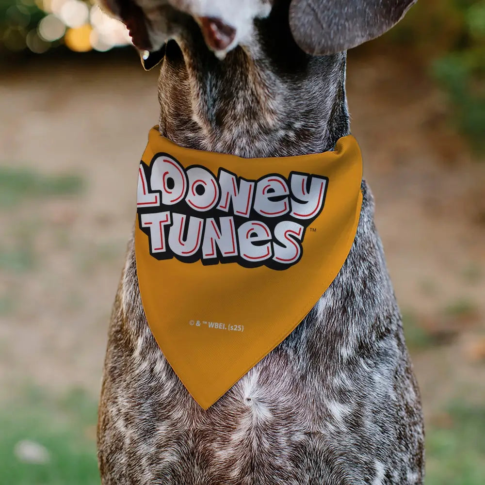 Pet Bandana - LOONEY TUNES Five Character Target Pose Orange - Pet Bandanas