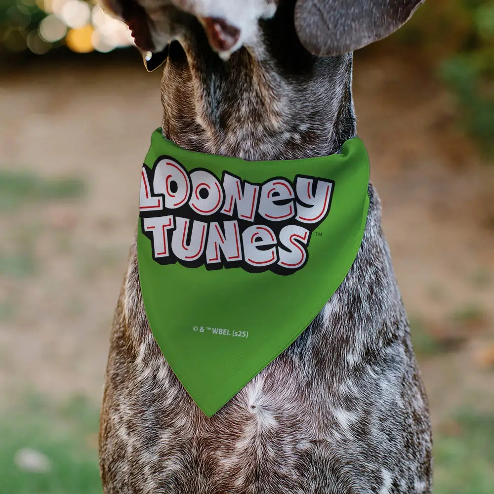 Pet Bandana - LOONEY TUNES Marvin the Martian Face Close-Up Green - Pet Bandanas