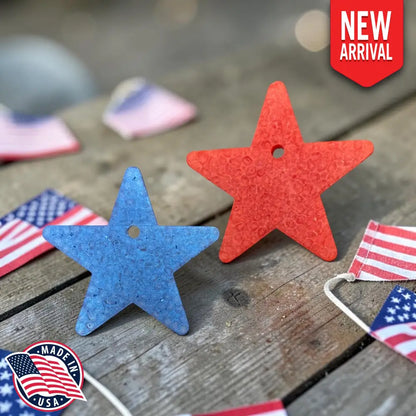 Medium Star Freshie - Home Fragrance