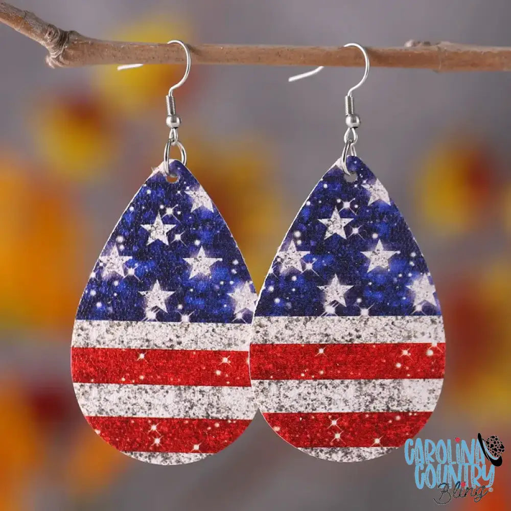 Merica’ – Multi Earrings