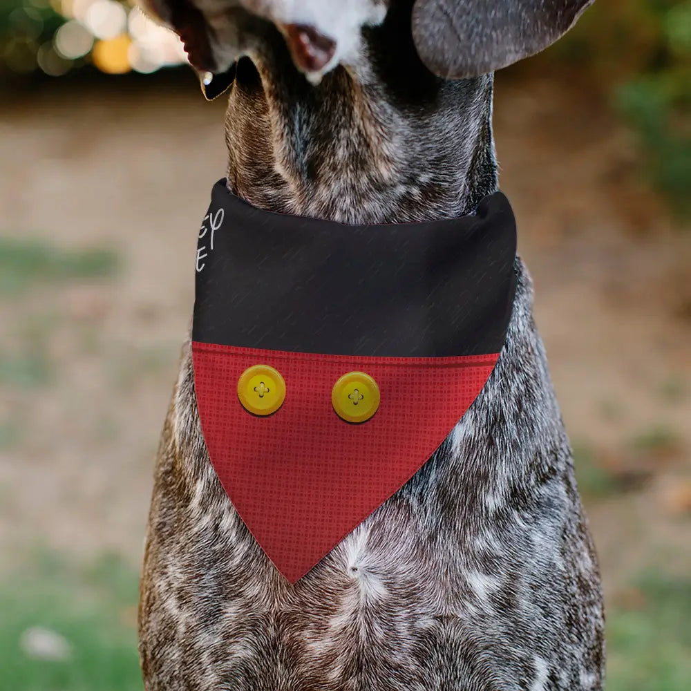 Pet Bandana - Mickey Mouse Buttons Black/Red - Pet Bandanas