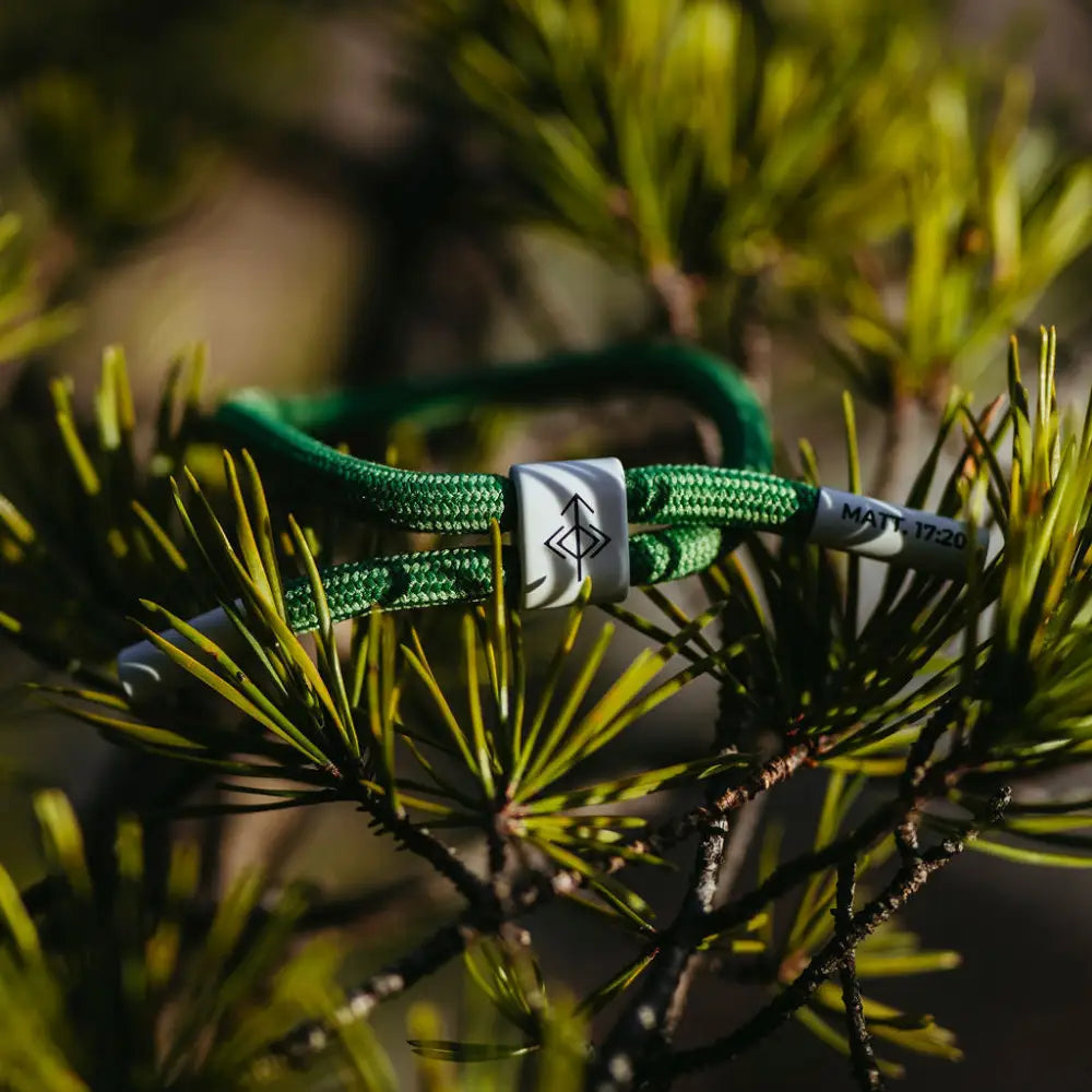 Move Mountains Matthew 17:20