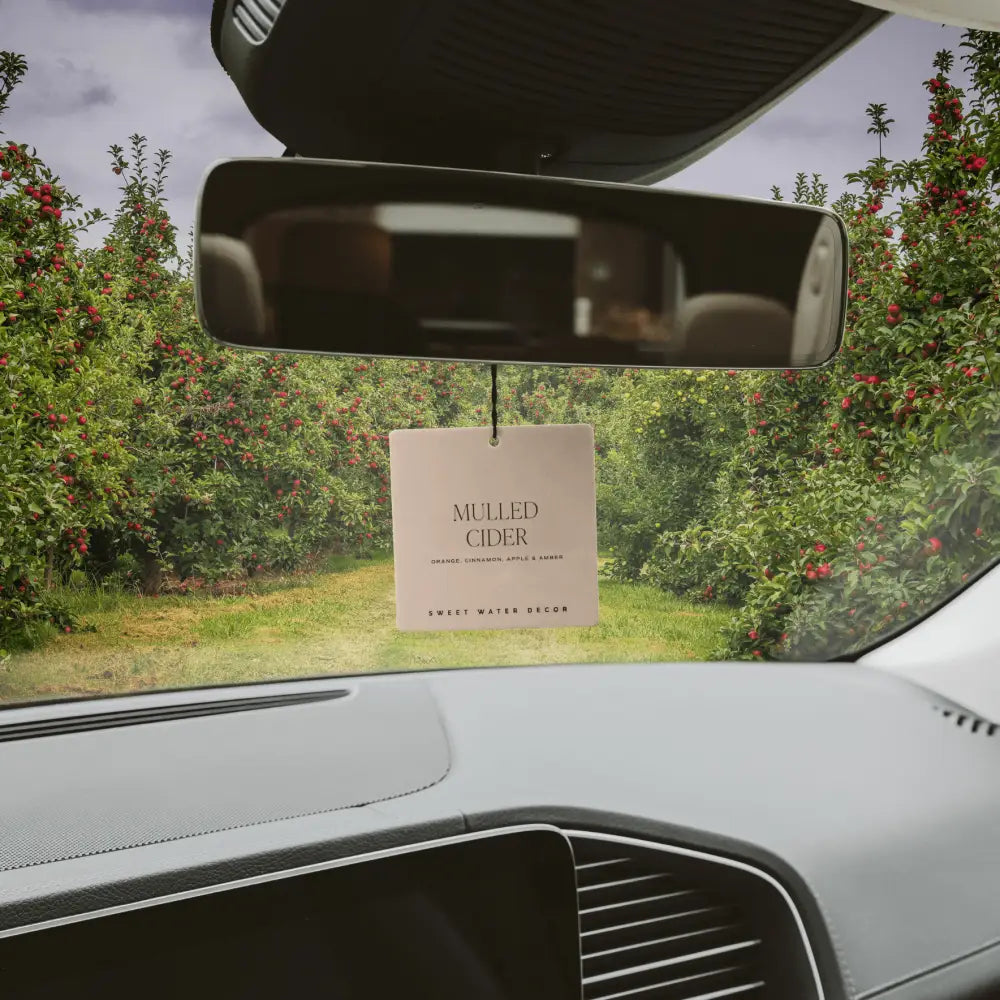 Mulled Cider Hanging Air Freshener - Air Freshener