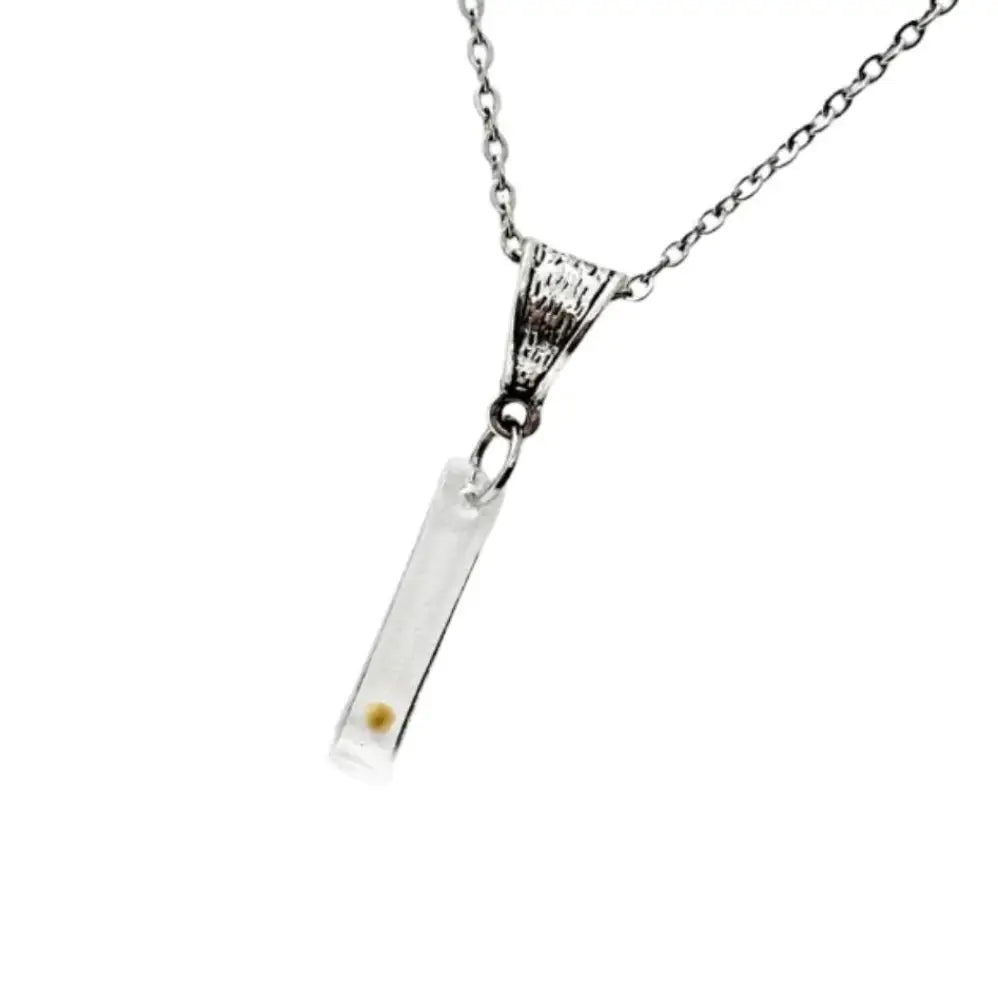 Mustard Seed Faith Necklace Stainless Steel Link Chain Resin Bar Pendant Christian Jewelry Inspired By Matthew 17 20 By