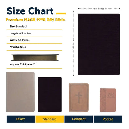 NASB Standard Size Thinline Holy Bible Small Print - Black Bible