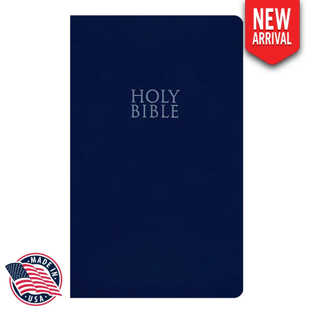 NIV Standard Size Holy Bible Small Print - Blue Bible