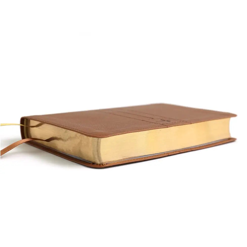 NIV Thinline Holy Bible Small Print - Brown Bible