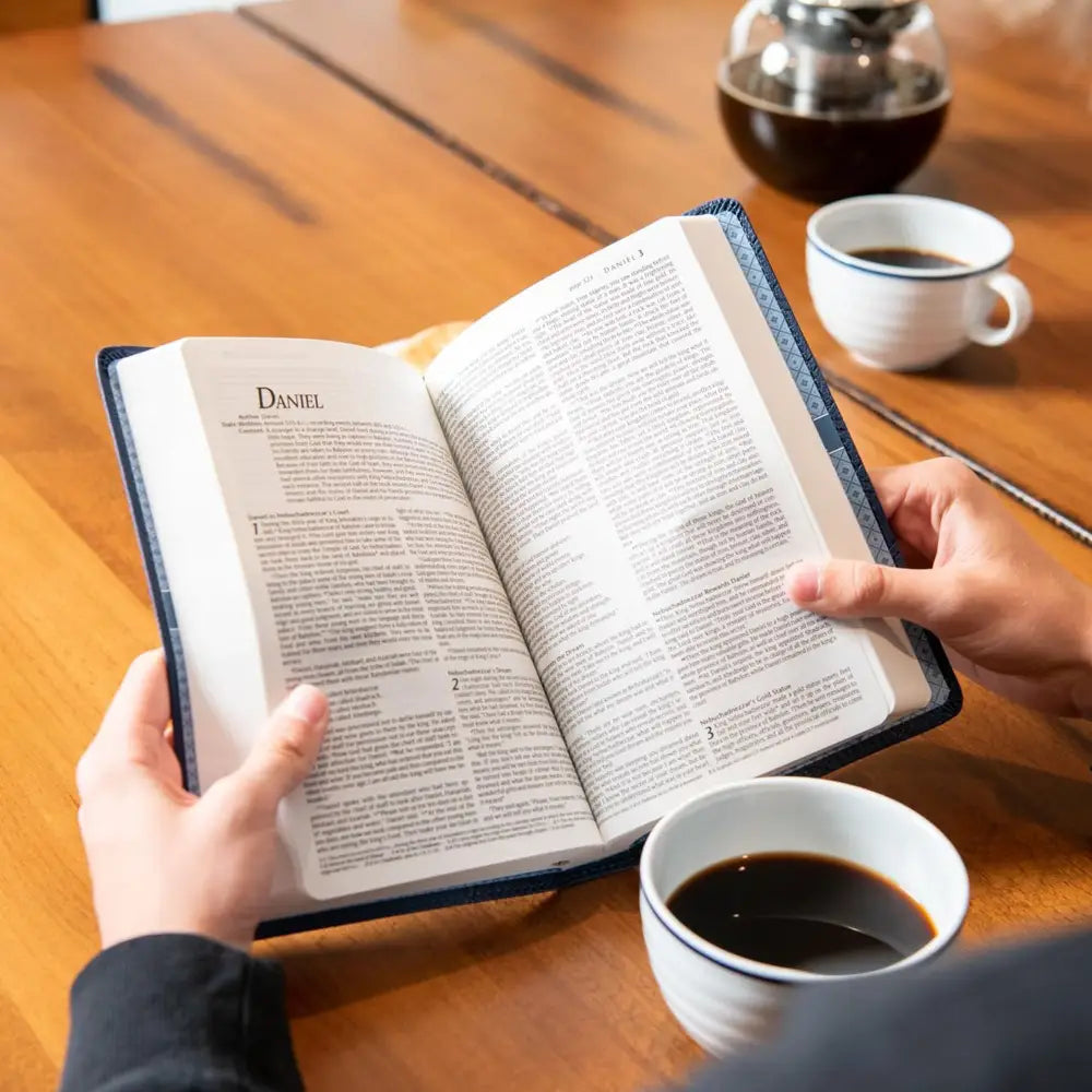 NLT Standard Size TruTone Holy Bible Small Print - Black Bible