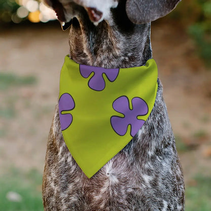 Pet Bandana - Patrick Star Shorts Flower Icon Green/Lavender - Pet Bandanas
