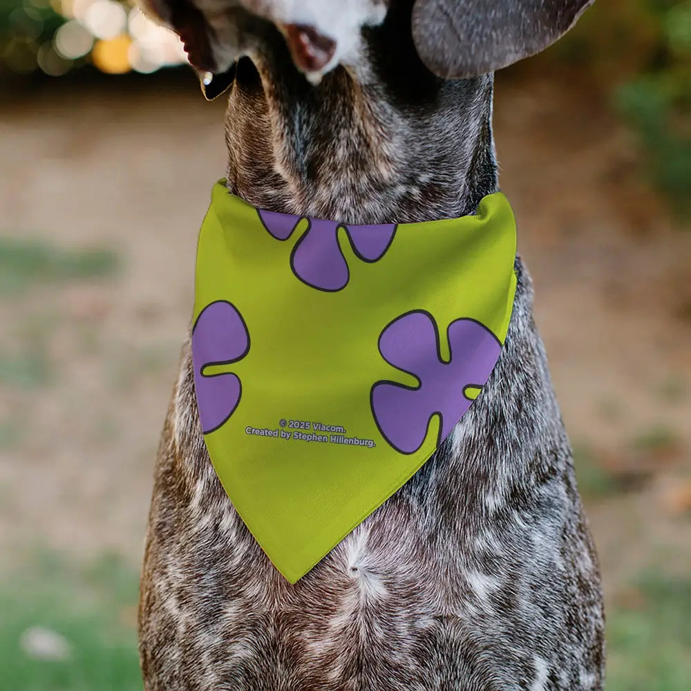Pet Bandana - Patrick Star Shorts Flower Icon Green/Lavender - Pet Bandanas