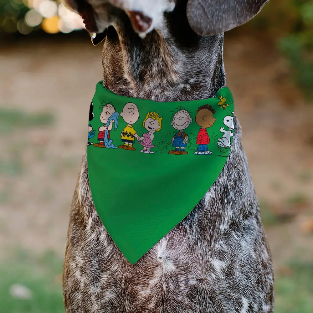 Peanuts Gang - Green Pet Bandanas